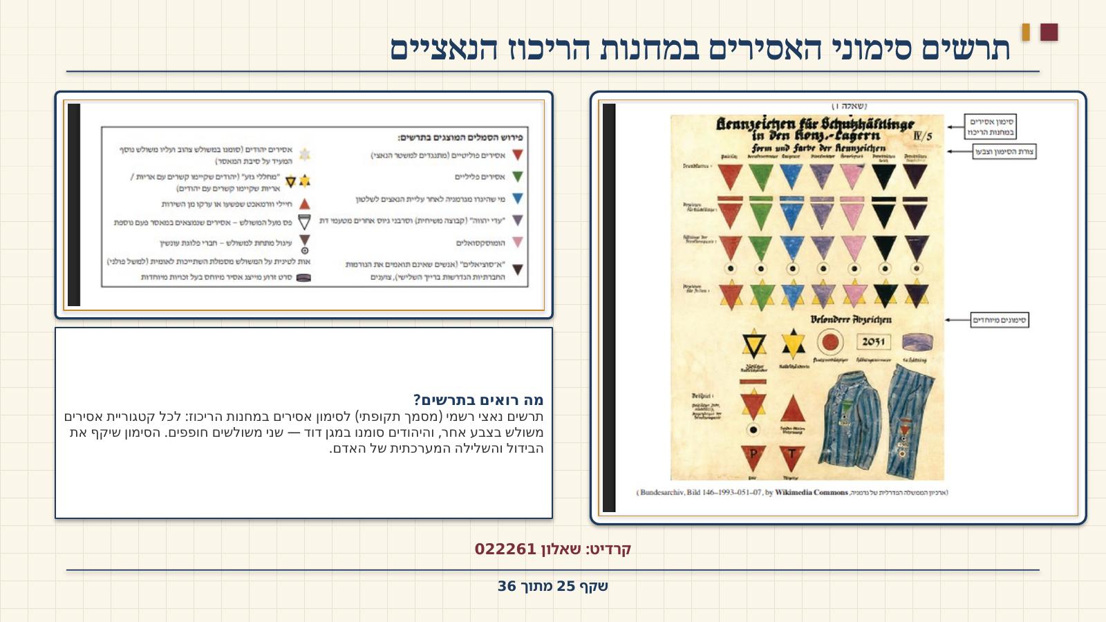 שקף 25: תרשים סימוני האסירים במחנות הריכוז הנאציים