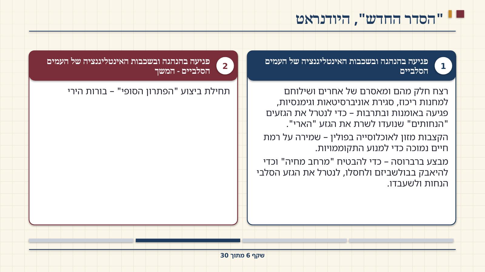 שקף 6: "הסדר החדש", היודנראט