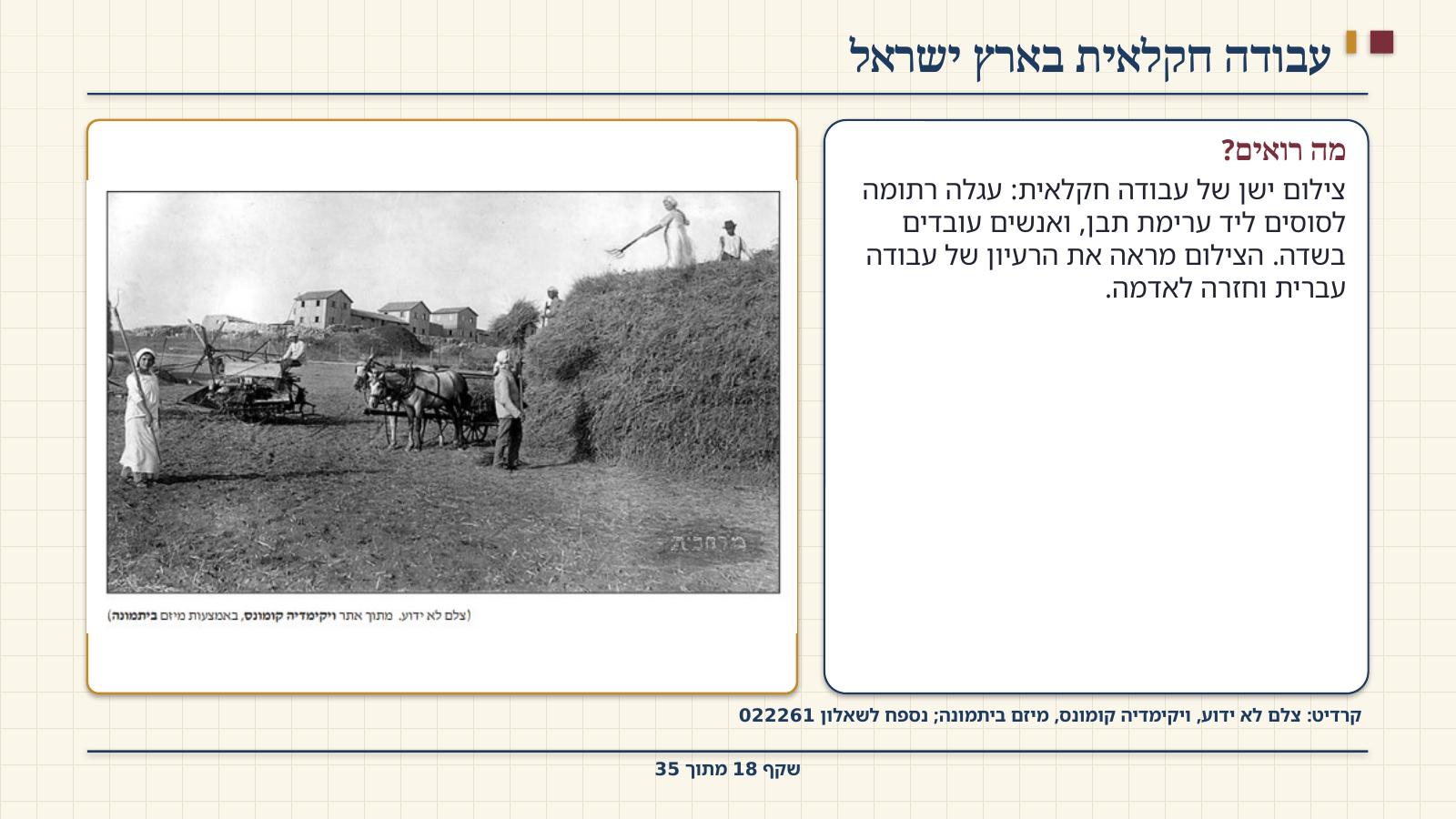 שקף 18: עבודה חקלאית בארץ ישראל