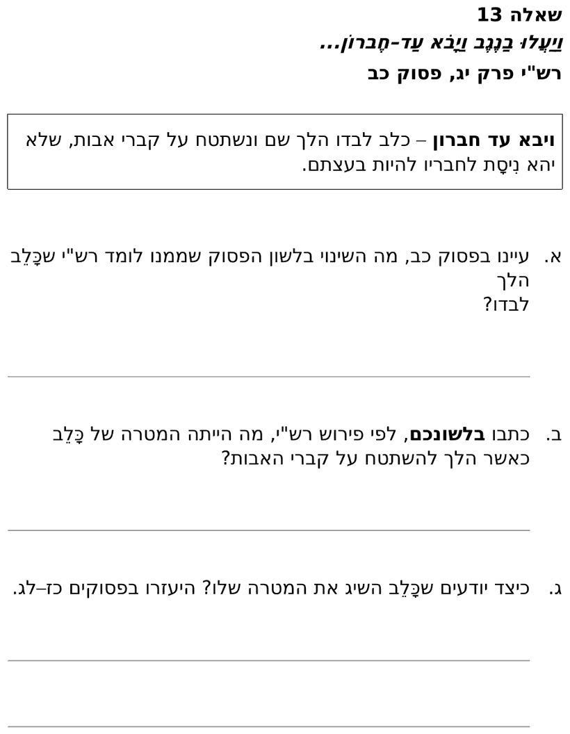 [ראמ"ה 2011] · שאלה 13