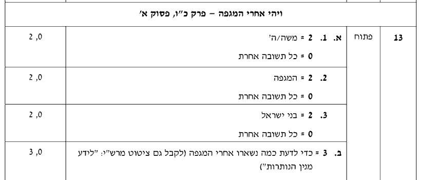מחוון [ראמ"ה 2010] · שאלה 13