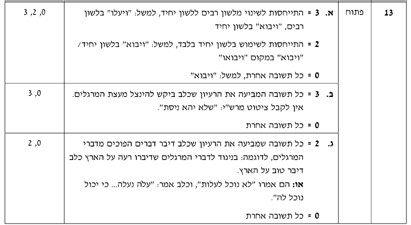 מחוון [ראמ"ה 2011] · שאלה 13