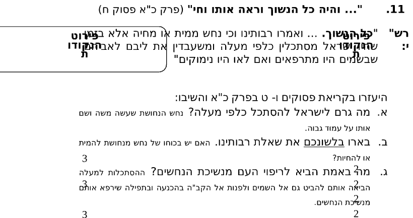 מחוון [ראמ"ה 2007] · שאלה 11