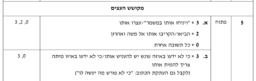 מחוון [ראמ"ה 2010] · שאלה 5