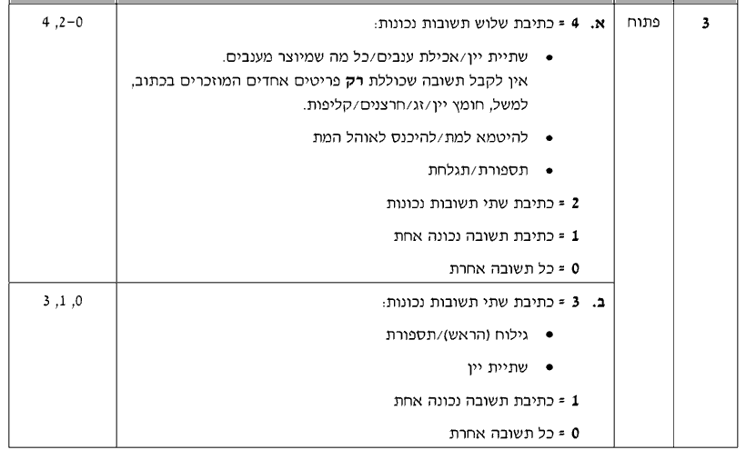 מחוון [ראמ"ה 2011] · שאלה 3