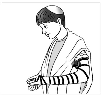 איור מתוך המבחן הרשמי