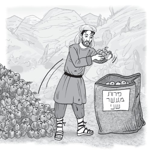 איור מתוך המבחן הרשמי