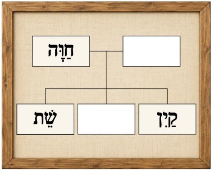 איור מתוך המבחן הרשמי