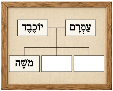איור מתוך המבחן הרשמי