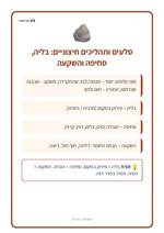 עמוד ראשון: סלעים ותהליכים חיצוניים: בליה, סחיפה והשקעה – 🪧 שלט לכיתה